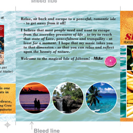 MikeS_IF2_CD-Book-outside-scaled