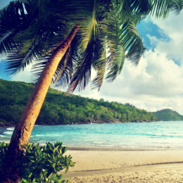 Island_Beach1