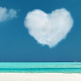 ShutterstockBasic_1298337799-scaled