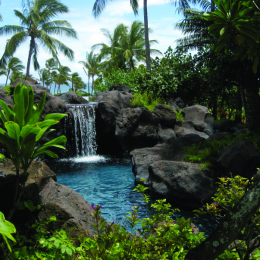 lagoontropical